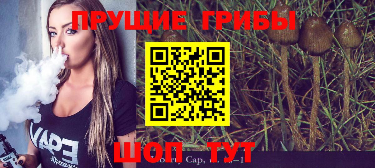 Псилоцибиновые грибы Cubensis  Вход с VPN  Можайск 