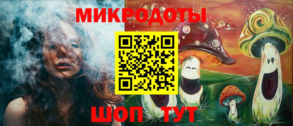 Псилоцибиновые грибы Psilocybine cubensis Можайск